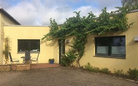 Apartment Reetblick